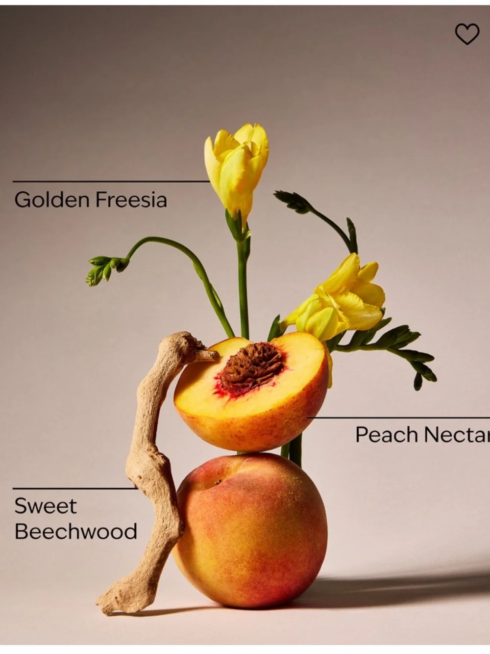 Bath & Body Works Vera Bradely Peach Blossom & Nectar 6 Piece  Bag Gift Set,
